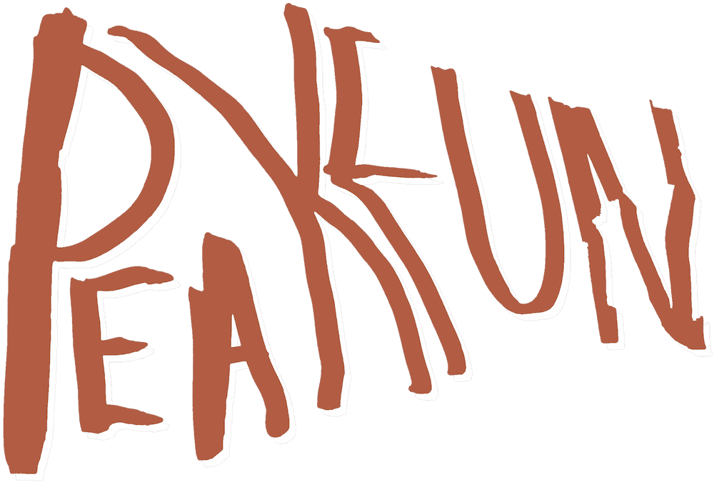 the logo of Peak Fun
